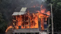 POMAL TNI AL Bakar Gubuk Sabu di Belawan, Diduga Kerap Dipakai Pelaku Kejahatan