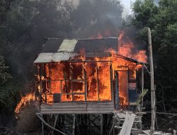 POMAL TNI AL Bakar Gubuk Sabu di Belawan, Diduga Kerap Dipakai Pelaku Kejahatan