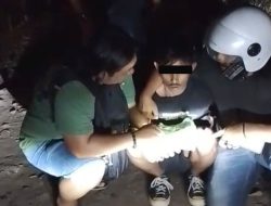Ganja 100 Gram Digagalkan Beredar di Medan, Polisi Tangkap Pengedar yang Sudah Beroperasi Dua Bulan