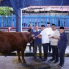 Kemnaker Himpun 93 Hewan Kurban, Dorong Semangat Berbagi hingga Produktivitas Kerja