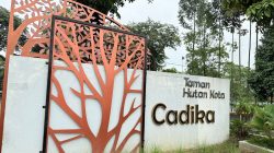 Timnas Vietnam dan Timor Leste Gelar Sesi Latihan Tertutup di Tanam Cadika