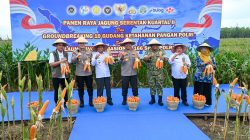 Presiden Tekankan Pentingnya Swasembada Pangan, Wagub Surya Hadiri Panen Raya Jagung Serentak