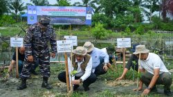 Sumut Kejar Penanaman 27 Hektare Mangrove pada 2026, Andalkan Benteng Pesisir Hadapi Krisis Iklim
