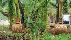 Ditolak Warga Tantom, Jalur Tambang Emas Ilegal Diduga Beralih Lewat Angkola Selatan