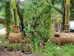 Ditolak Warga Tantom, Jalur Tambang Emas Ilegal Diduga Beralih Lewat Angkola Selatan