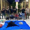 30 Kg Sisik Trenggiling dan Kulit Beruang Madu Disita, Polres Simalungun Bongkar Dugaan Jaringan Perdagangan Satwa Dilindungi