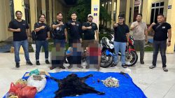 30 Kg Sisik Trenggiling dan Kulit Beruang Madu Disita, Polres Simalungun Bongkar Dugaan Jaringan Perdagangan Satwa Dilindungi