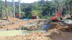 Puluhan Excavator Diduga Kembali Garap Tambang Emas Ilegal di Kawasan TNBG Sungai Batang Gadis