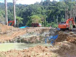 Puluhan Excavator Diduga Kembali Garap Tambang Emas Ilegal di Kawasan TNBG Sungai Batang Gadis