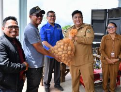 Bupati Samosir Tantang Petani Buktikan Hasil, Bantuan 5 Ton Bibit Kentang Jadi Penentu Dukungan Berikutnya