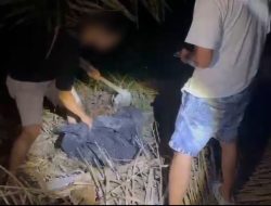 Polisi Bongkar 7 Kg Sabu yang Dikubur di Tanah Kebun Sawit Bengkalis, Tiga Pengedar Dibekuk
