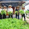 Hasilkan Panen Kangkung dari Lahan Produktif, Bapas Palangka Raya Terus Tumbuhkan Kemandirian Klien