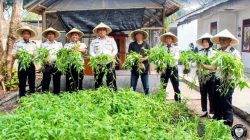 Hasilkan Panen Kangkung dari Lahan Produktif, Bapas Palangka Raya Terus Tumbuhkan Kemandirian Klien