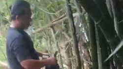 Simpan Puluhan Paket Ganja di Pohon Bambu, Modus Baru Pengedar di Medan Terbongkar