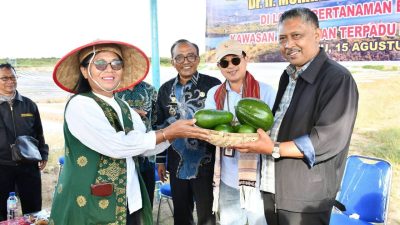 Samosir Bidik Swasembada Benih Bawang Putih, Kementan Siapkan Pengembangan 5.000 Hektare
