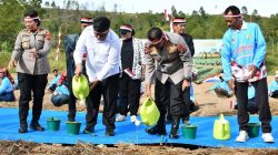 Wujudkan Swasembada Pangan, Bupati dan Kapolda Sumut Tanam Bawang di Desa Maduma