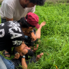 Kabur ke Semak Belukar, Pengedar Sabu Klambir V Diciduk Polisi