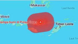 Flores Diapit Dua Sumber Gempa, Sesar Naik Jadi Pemicu Gempa M7 di NTT