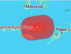 Flores Diapit Dua Sumber Gempa, Sesar Naik Jadi Pemicu Gempa M7 di NTT