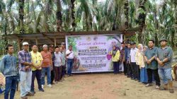 Bukan Seremoni! ITS Paluta Turun Langsung Uji Lahan dan Petakan Potensi Sapi di Huta Pasir dan Mandasip