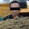 Satpam Bengkel di Medan Ditangkap Edarkan Ganja, Polisi Sita 3 Ons