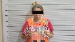 Kepling Perempuan di Medan Ditangkap, Diduga Edarkan Pod Getar dan Ekstasi