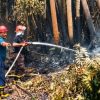 Sebelum Api Membesar, PTPN IV PalmCo Sudah Bergerak Memburu Hotspot di Sumatera-Kalimantan