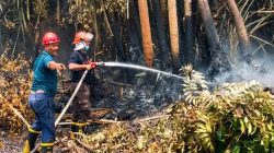 Sebelum Api Membesar, PTPN IV PalmCo Sudah Bergerak Memburu Hotspot di Sumatera-Kalimantan