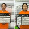 Menyamar Jadi Perawat, Curi Bayi dari Ruang Nifas: Polrestabes Medan Bongkar Sindikat Perdagangan Bayi