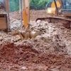 Dugaan Setoran ke Oknum BPD Empat Desa Mencuat di Tengah Aktivitas PETI Hutan Singa Bubu