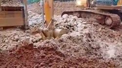 Dugaan Setoran ke Oknum BPD Empat Desa Mencuat di Tengah Aktivitas PETI Hutan Singa Bubu