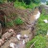 Saluran Irigasi BI6-BGM Amblas, Sawah Baru Ditanam Terancam Kekurangan Air