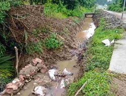 Saluran Irigasi BI6-BGM Amblas, Sawah Baru Ditanam Terancam Kekurangan Air