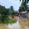 Banjir Kembali Rendam Sejumlah Wilayah di Besitang, Warga di Bantaran Sungai Mengungsi