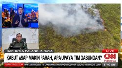Pangdam XXII/TB Vidcon dengan CNN Indonesia Perihal Penanganan Karhutla di Kaltengsel