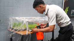 Rutan Labuhan Deli Optimalkan Perawatan Sayuran Hidroponik untuk Menjaga Kualitas dan Kesegaran Hasil Panen