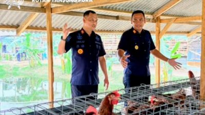 Kakanwil Ditjenpas Sumut Jalu Yuswa Panjang Laksanakan Kunjungan Kerja ke Lahan Ketahanan Pangan Rutan Tanjung Pura