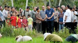 Bobby Nasution Tinjau Irigasi Afia, Dorong Produktivitas dan Sejahterakan Petani Gunungsitoli