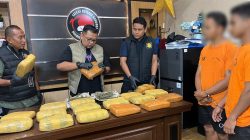 Berkedok Kandang Ayam, Gudang Ganja 18 Kg di Deli Serdang Terbongkar, Polisi Buru Pengendali Jaringan