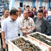 Sumut Lepas Ekspor Komoditas Rp258,9 Miliar ke Pasar Global, Sarang Burung Walet, Kepiting, Hingga Hasil Pertanian Jadi Unggulan