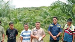 Sengketa Lahan Sihambeng Memanas, Sidang Setempat Digelar dan Oknum Polisi Dilaporkan