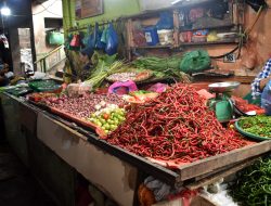 TPID Sumut Intervensi Pasar, Harga Cabai Merah Turun ke Rp55.000 per Kg